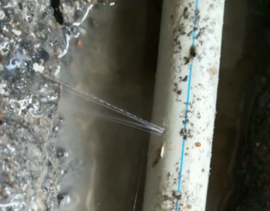 兴文测漏水哪家好