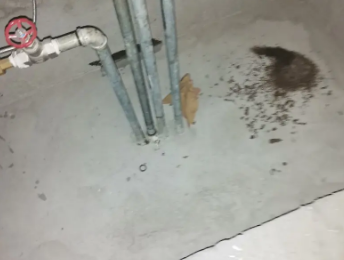 兴文卫生间测漏水价格明细